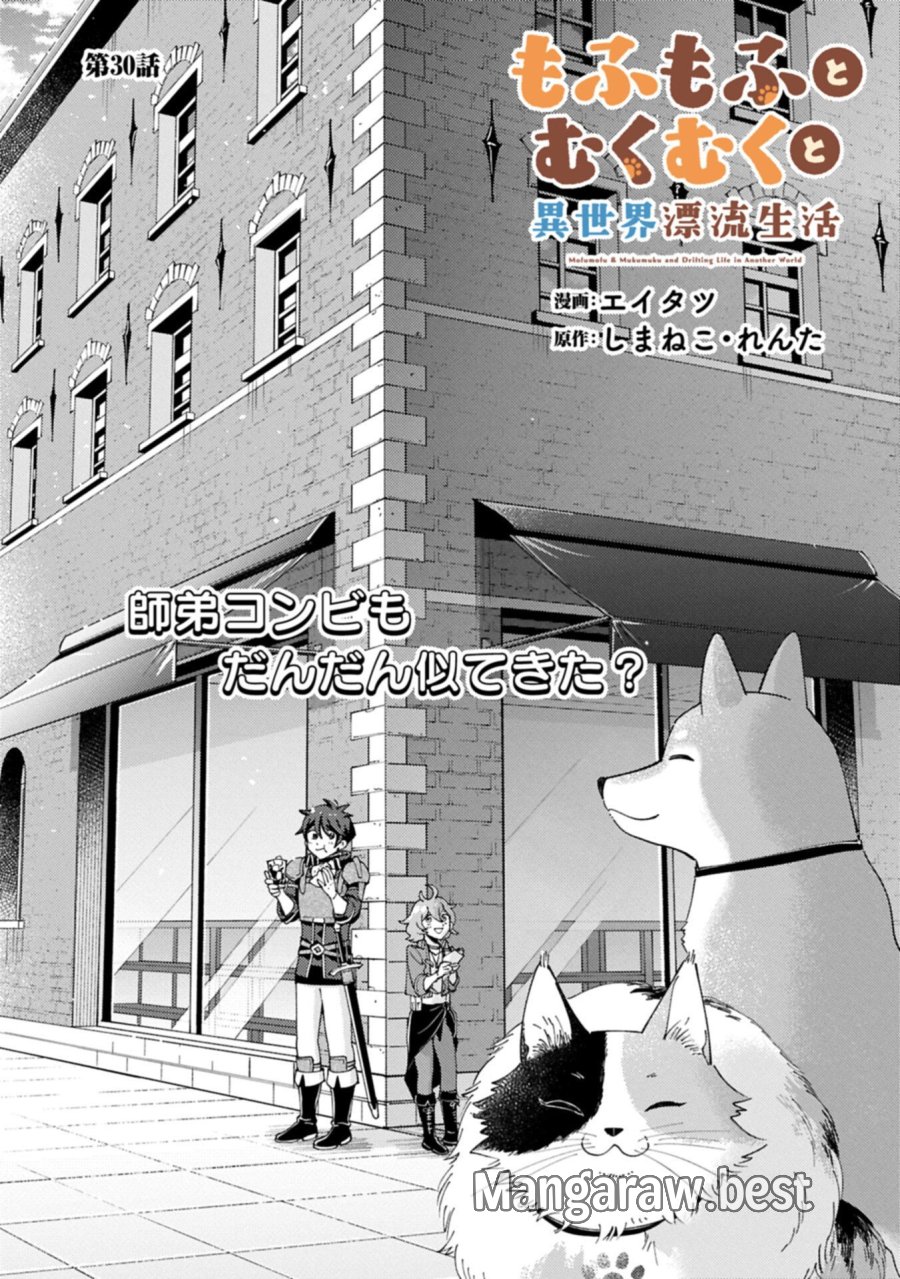 もふもふとむくむくと異世界漂流生活 第30.1話 - Trang 1