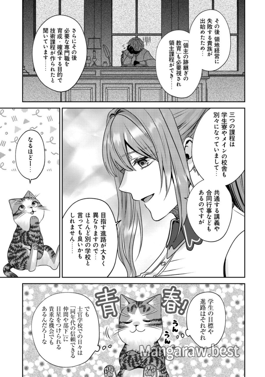 我輩は猫魔導師である～キジトラ・ルークの快適チート猫生活～ 第32話 - Page 15