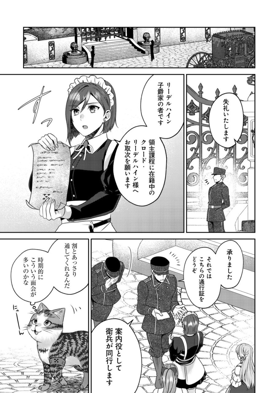 我輩は猫魔導師である～キジトラ・ルークの快適チート猫生活～ 第32話 - Page 17