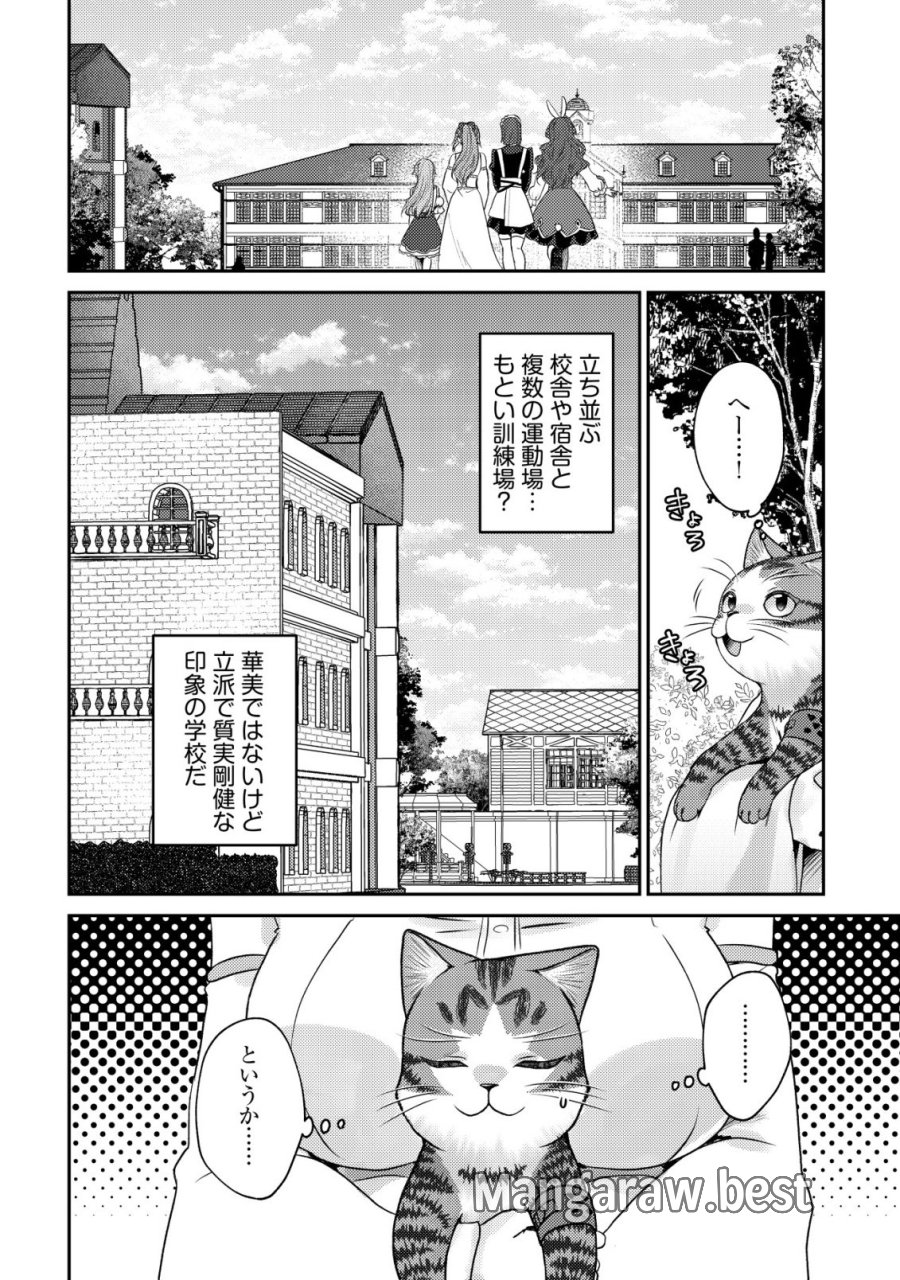 我輩は猫魔導師である～キジトラ・ルークの快適チート猫生活～ 第32話 - Page 18