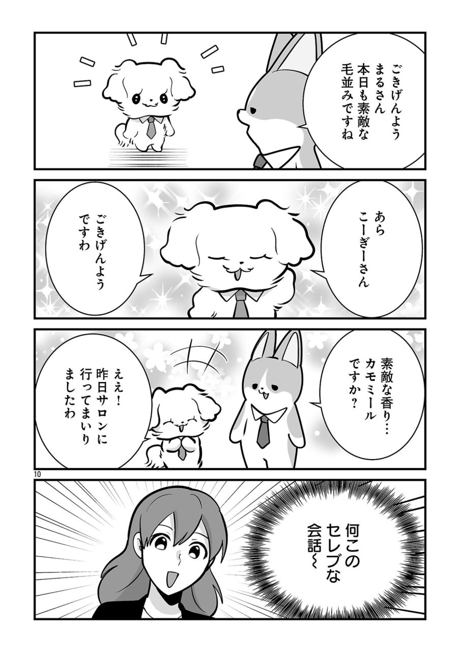 ヒショワン ～秘書は犬ですが何か？～ 第11.1話 - Page 12