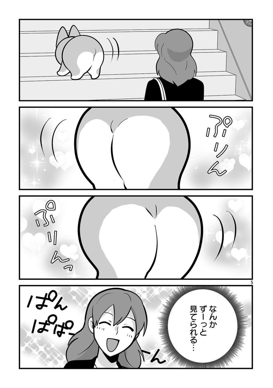 ヒショワン ～秘書は犬ですが何か？～ 第11.1話 - Page 7