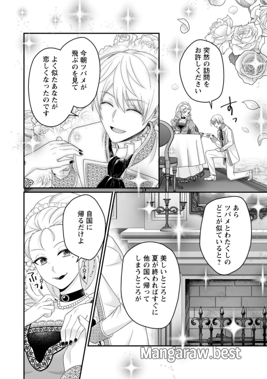 ずたぼろ令嬢は姉の元婚約者に溺愛される 第54.2話 - Page 6