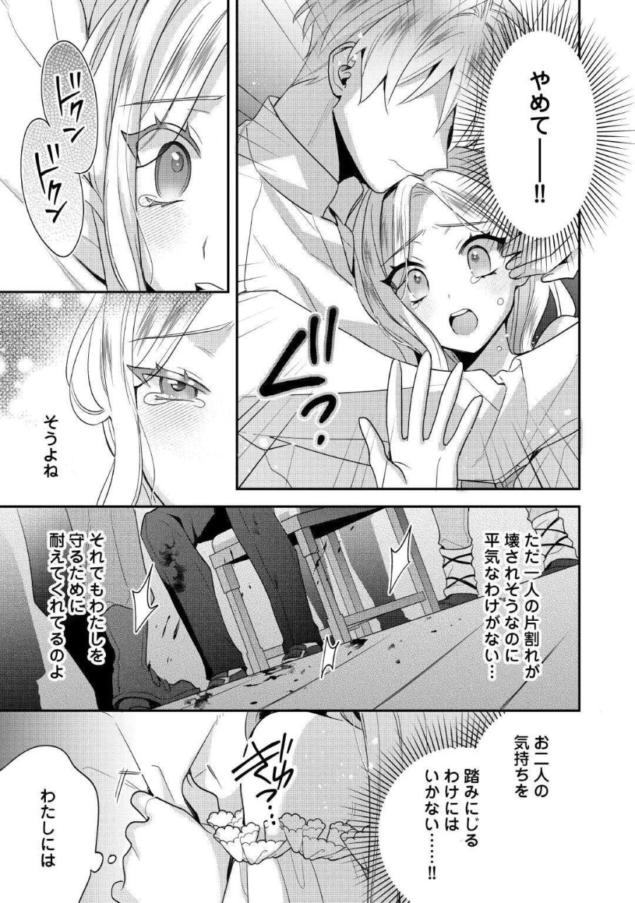 重婚なんてお断り! 絶対に双子の王子を見分けてみせます! 第15.2話 - Page 5