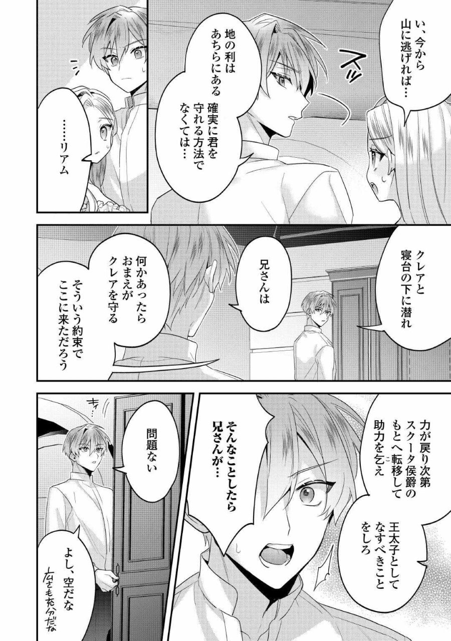 重婚なんてお断り! 絶対に双子の王子を見分けてみせます! 第15話 - Page 10