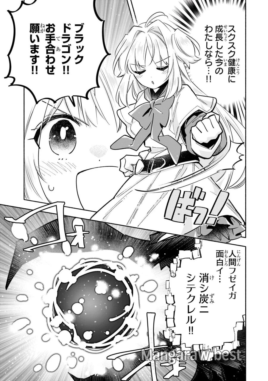 病弱少女、転生して健康な肉体(最強)を手に入れる ～友達が欲しくて魔境から旅立ったのですが、どうやら私の魔法は少しおかしいようです!?～ 第10.1話 - Page 5