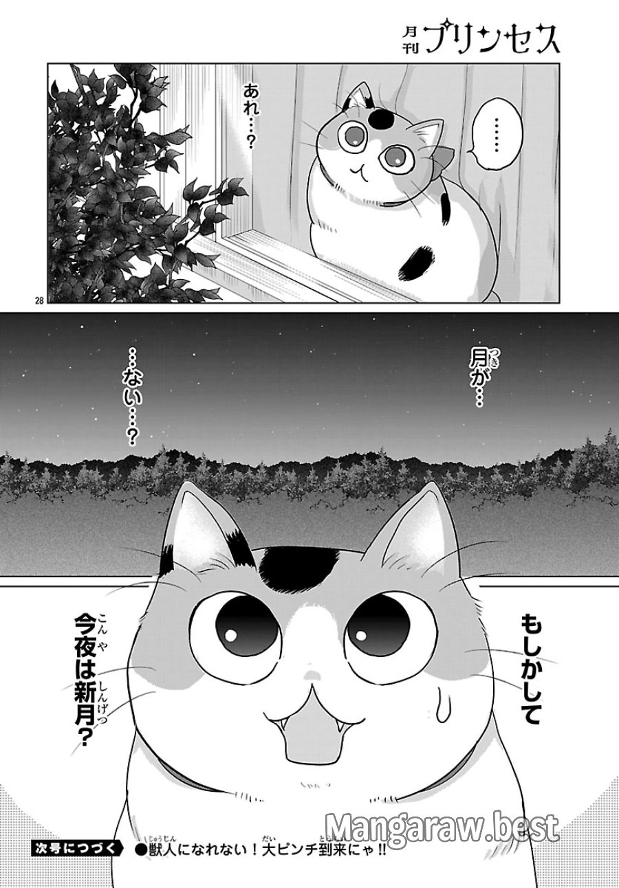 転生した三毛猫は王子と玉座の夢を見る 第9.2話 - Page 14