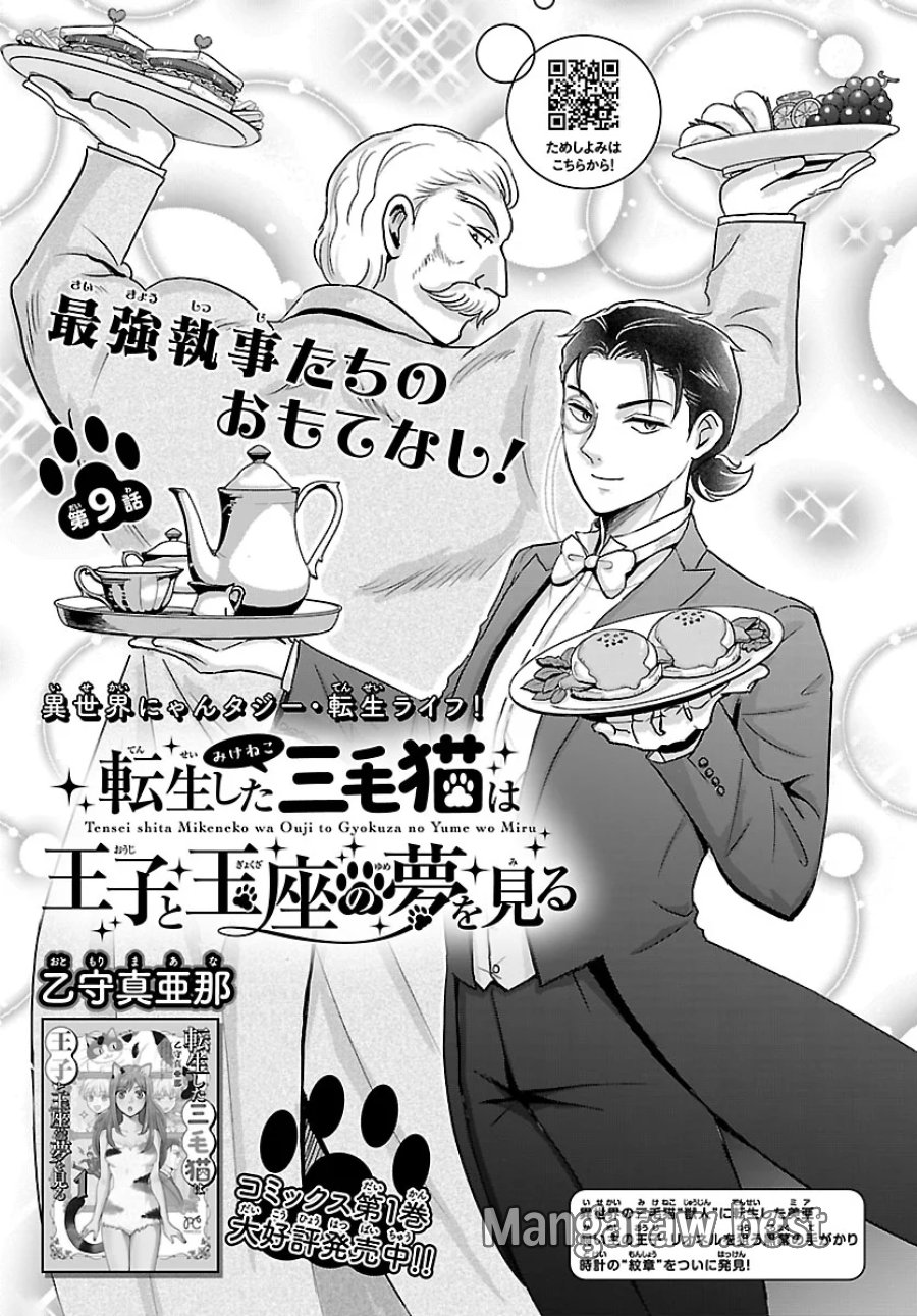 転生した三毛猫は王子と玉座の夢を見る 第9.1話 - Page 1