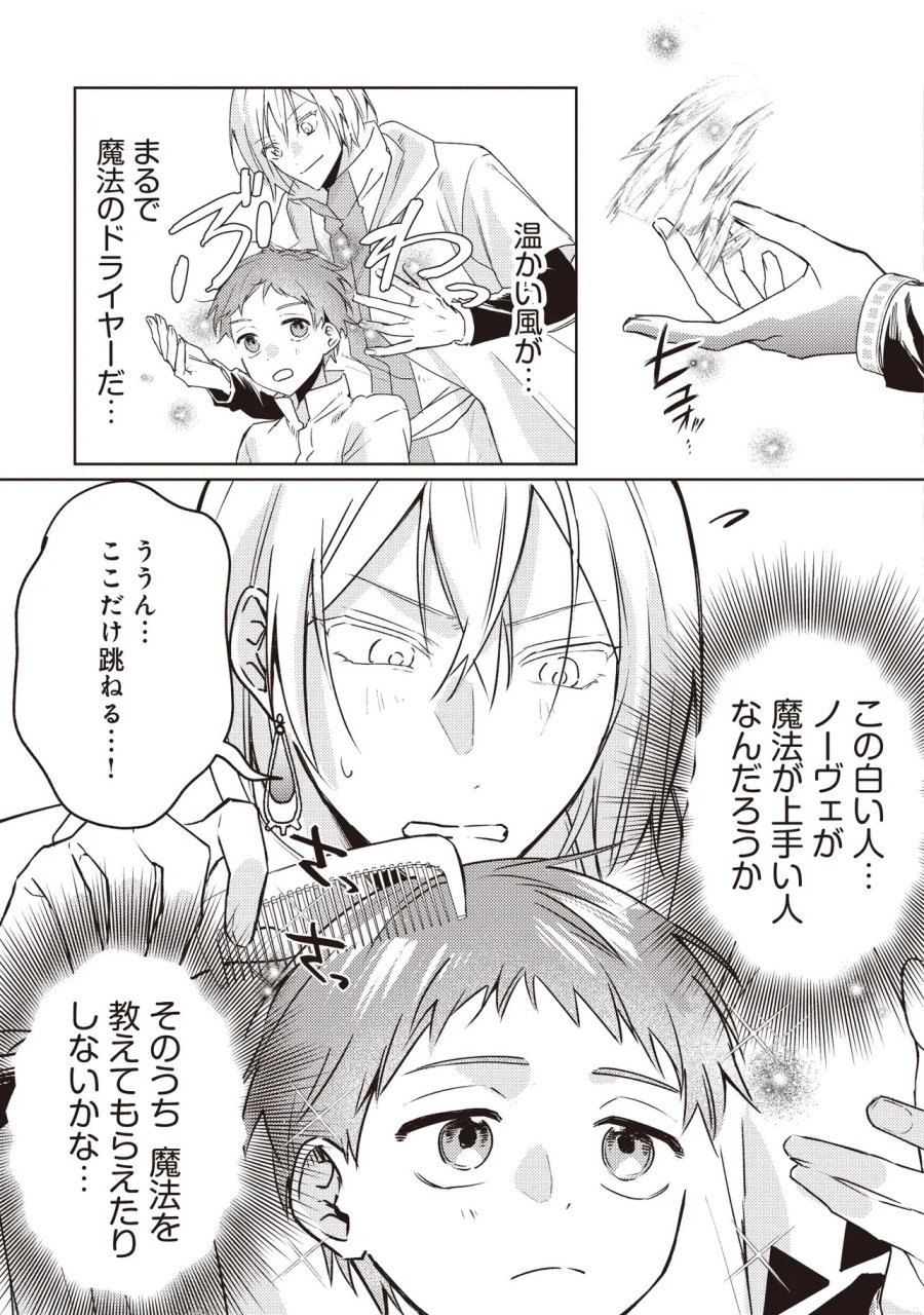 少年アウルのほんわか異世界ライフ ～新しいご主人と巡り合い最強パーティーとゆったり生活します～ 第3.1話 - Page 11