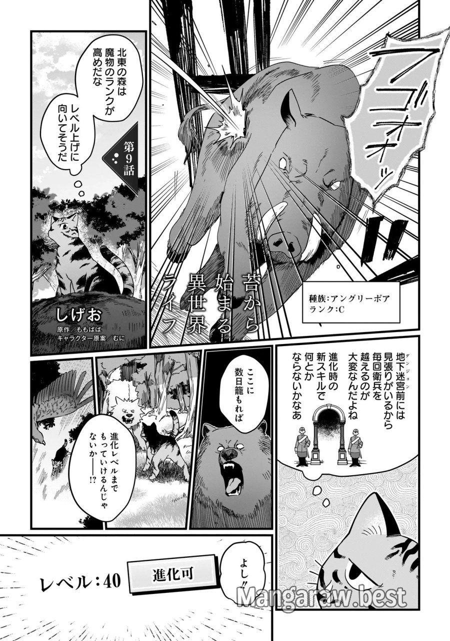苔から始まる異世界ライフ 第9.1話 - Trang 1