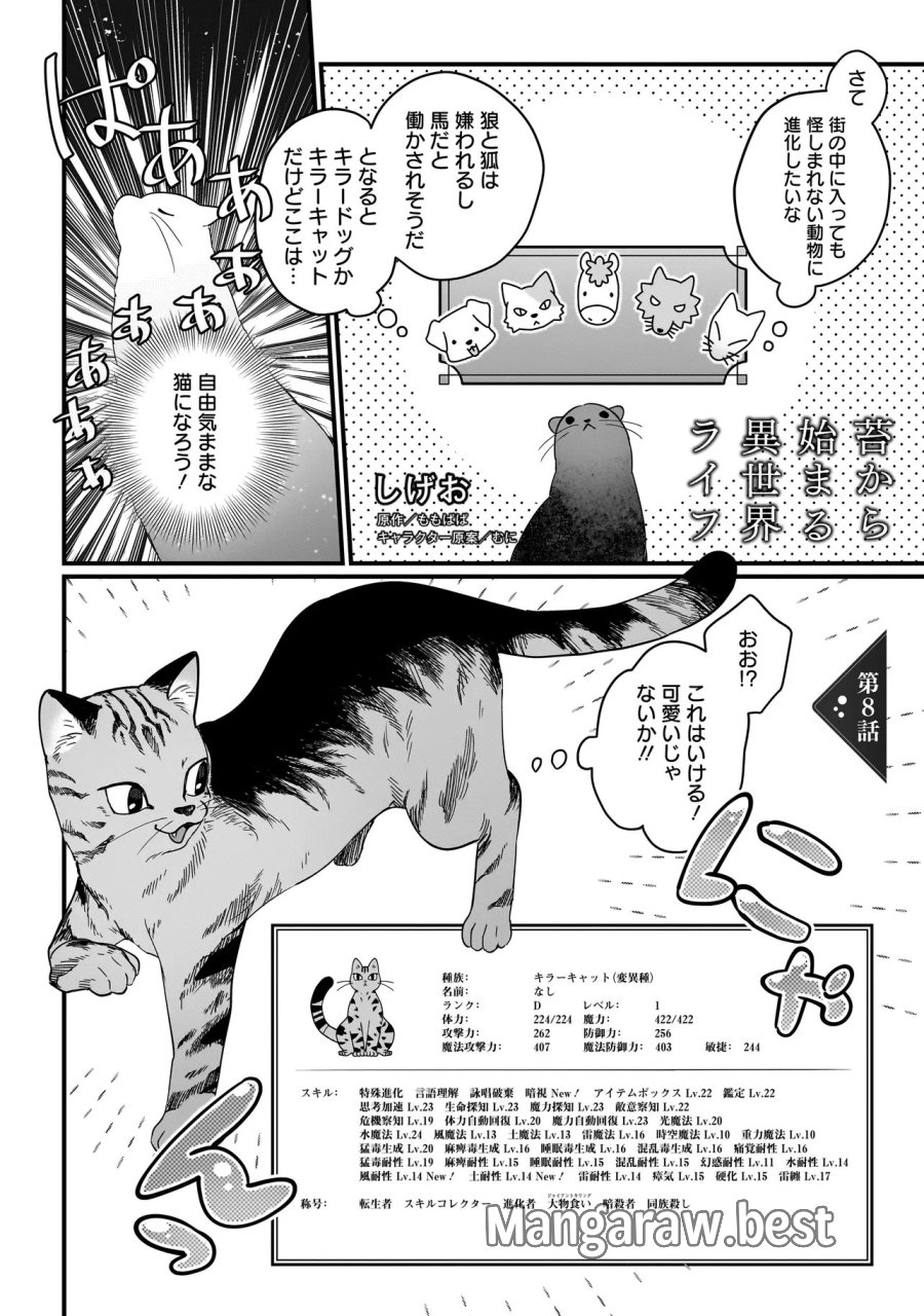 苔から始まる異世界ライフ 第8.1話 - Trang 1