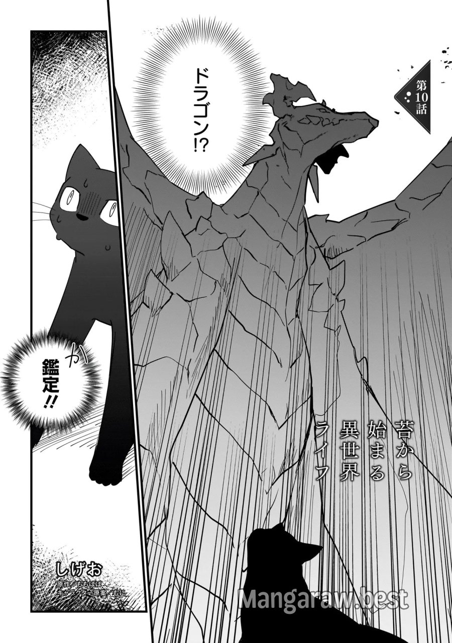 苔から始まる異世界ライフ 第10.1話 - Page 1