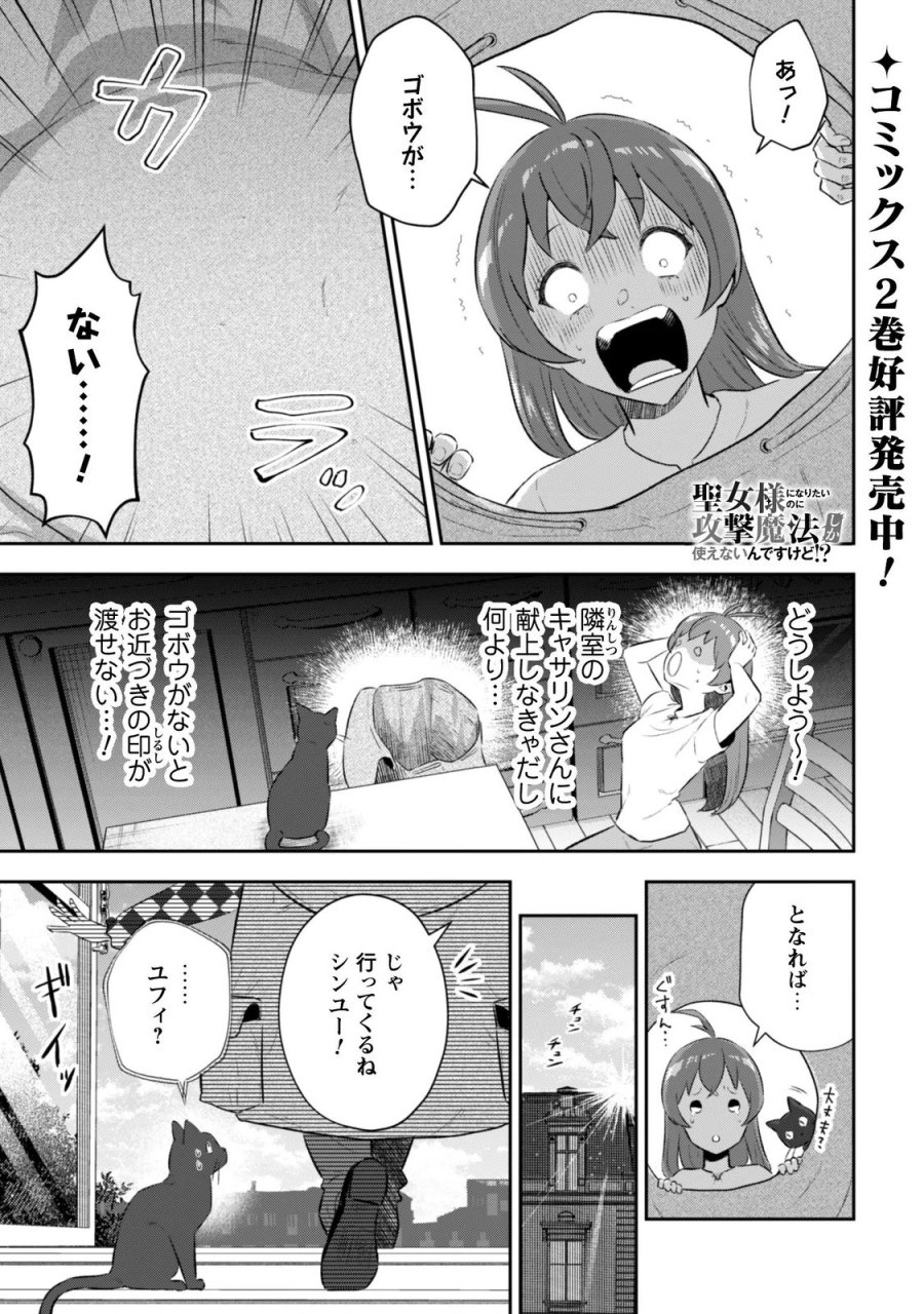 聖女様になりたいのに攻撃魔法しか使えないんですけど！？ 第12.5話 - Page 2