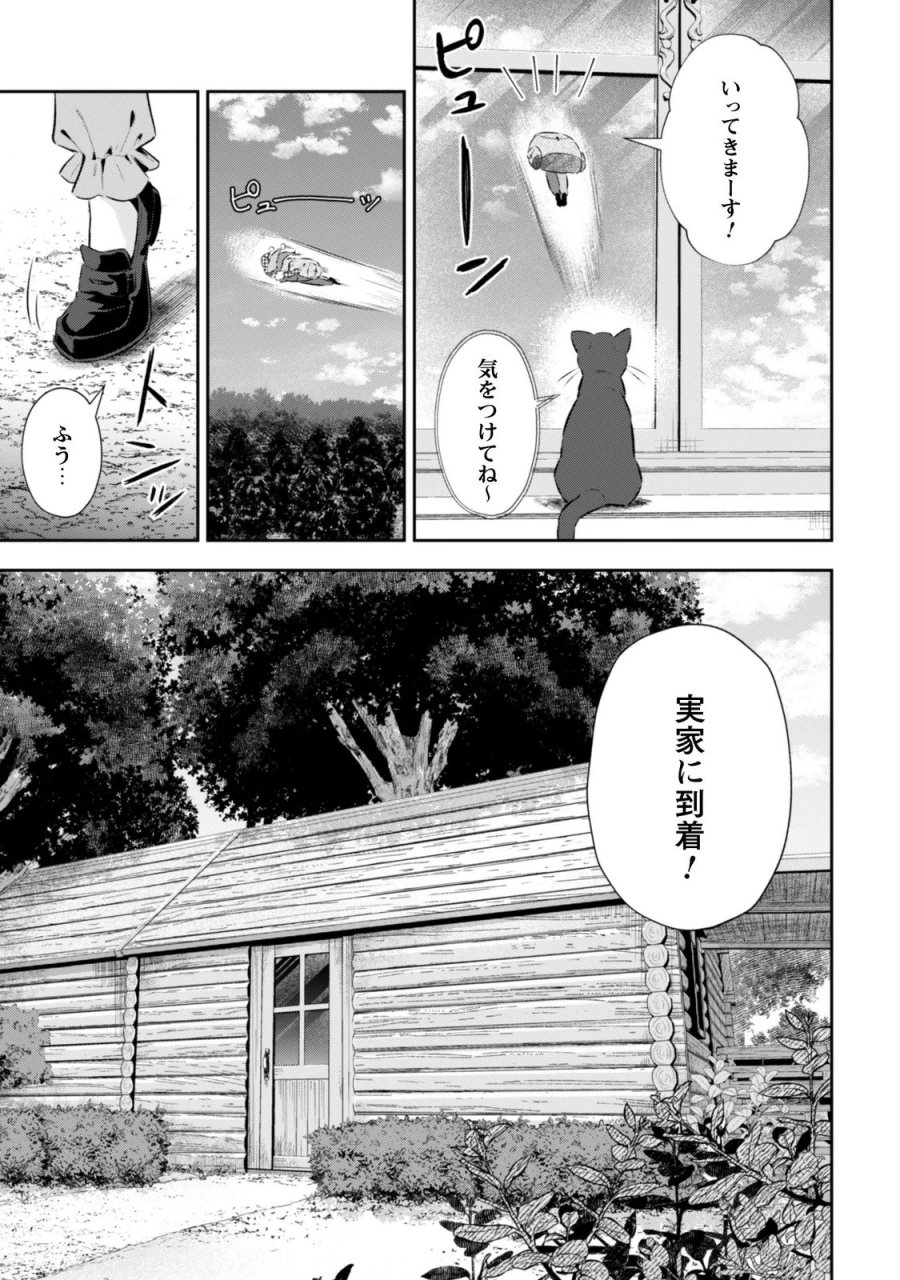 聖女様になりたいのに攻撃魔法しか使えないんですけど！？ 第12.5話 - Page 4