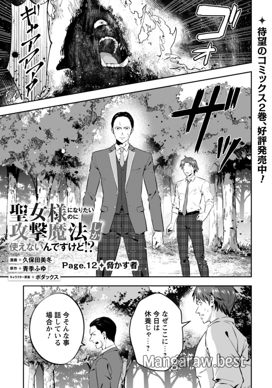 聖女様になりたいのに攻撃魔法しか使えないんですけど！？ 第12話 - Trang 2