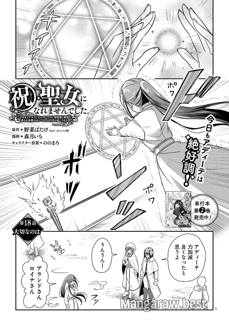 祝・聖女になれませんでした。 このままステルスしたいのですが、悪役顔と精霊に愛され体質のせいでやっぱり色々起こります 第18.1話 - Page 3