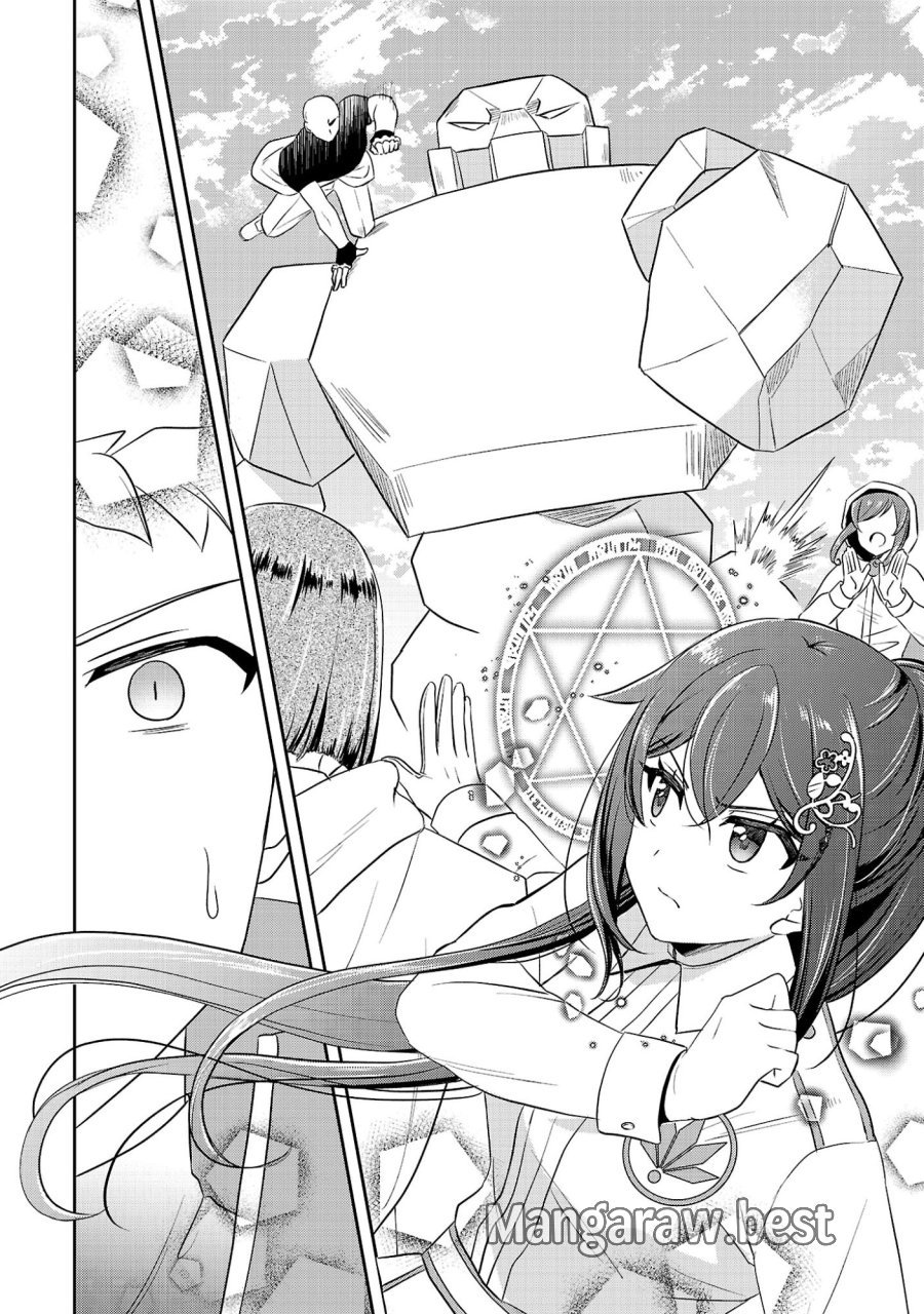 祝・聖女になれませんでした。 このままステルスしたいのですが、悪役顔と精霊に愛され体質のせいでやっぱり色々起こります 第17.2話 - Page 11