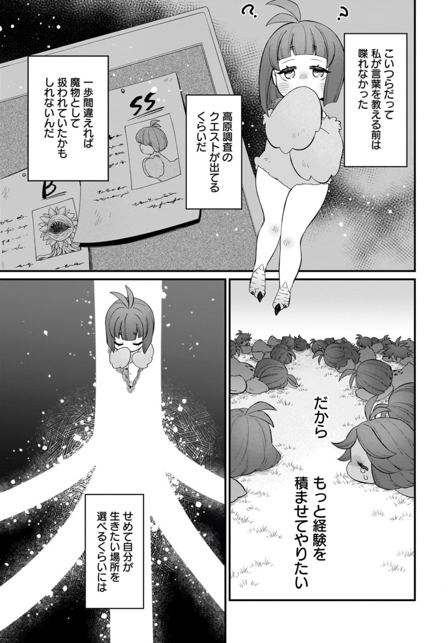 ダチョウ獣人のはちゃめちゃ無双 アホかわいい最強種族のリーダーになりました 第7話 - Trang 5