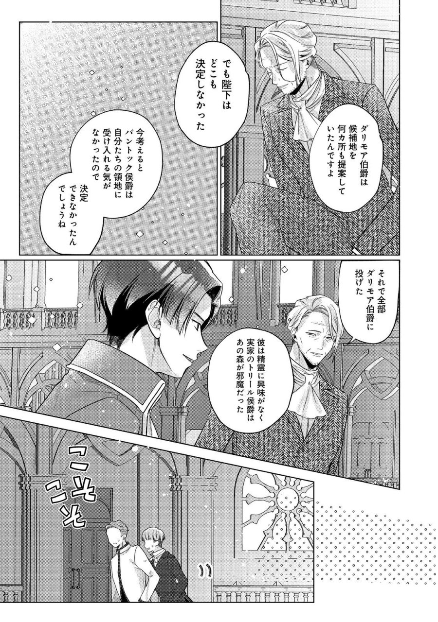 転生令嬢は精霊に愛されて最強です……だけど普通に恋したい！＠COMIC 第30話 - Page 5