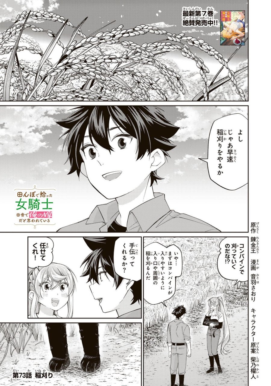 田んぼで拾った女騎士、田舎で俺の嫁だと思われている 第73話 - Page 1