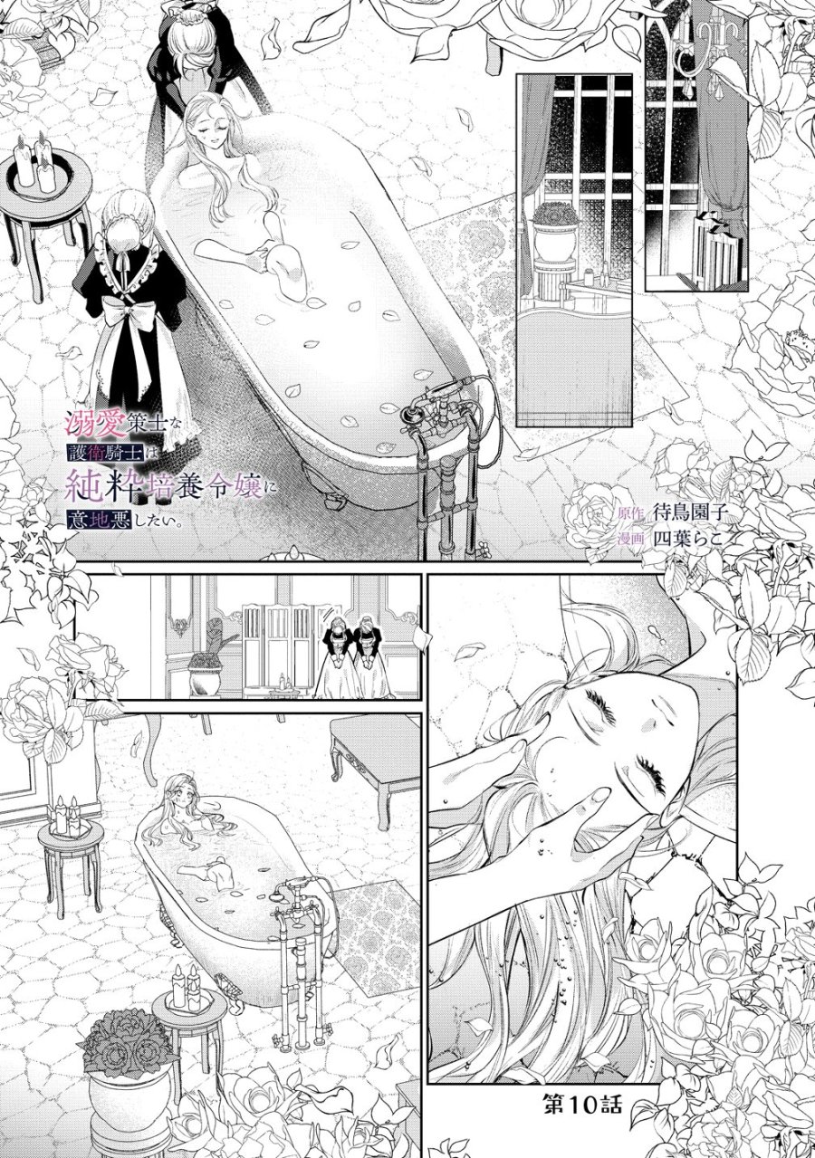 溺愛策士な護衛騎士は純粋培養令嬢に意地悪したい。 第10話 - Page 1