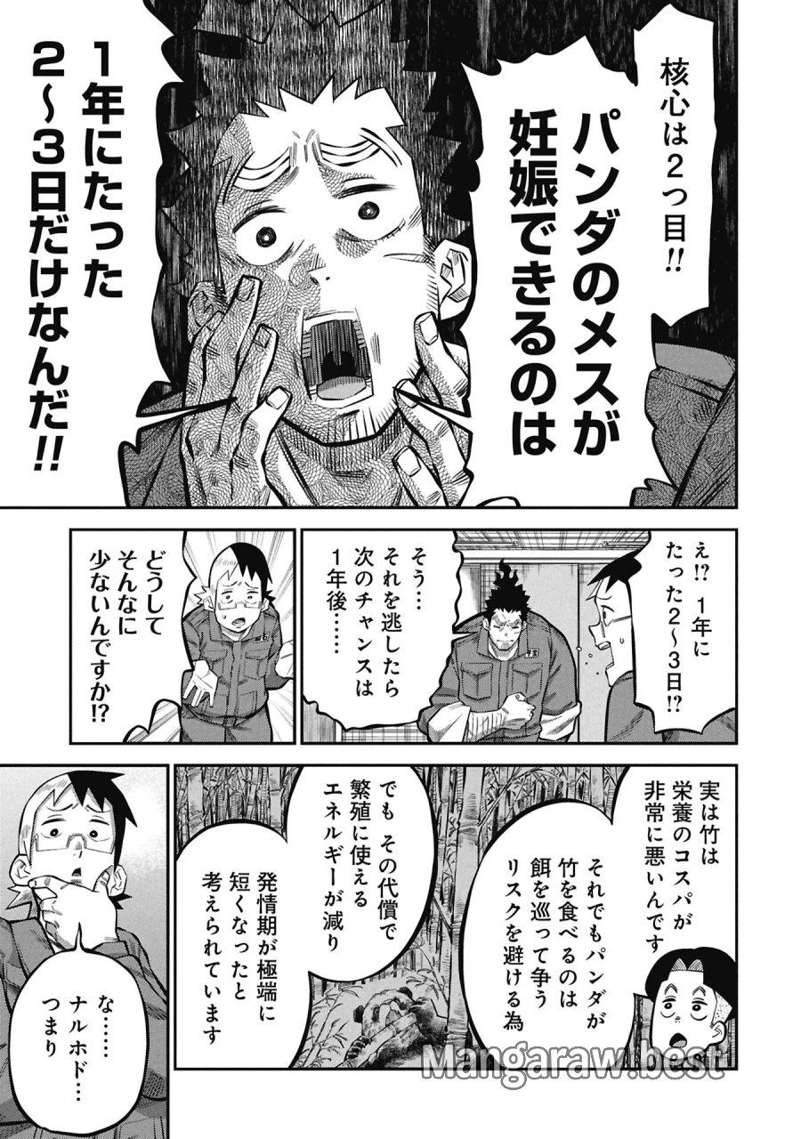 子宝さんのオトナな動物図鑑 第10.1話 - Page 5