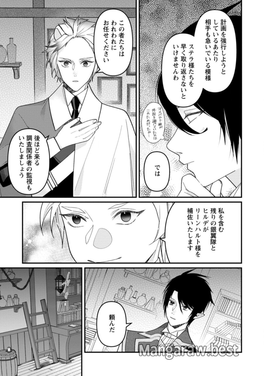 わたし、聖女じゃありませんから 第44.3話 - Page 3