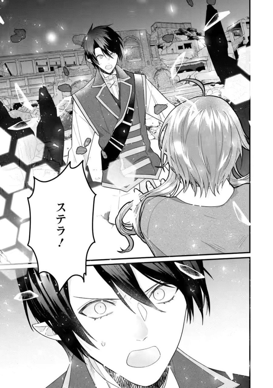 わたし、聖女じゃありませんから 第45話 - Page 29