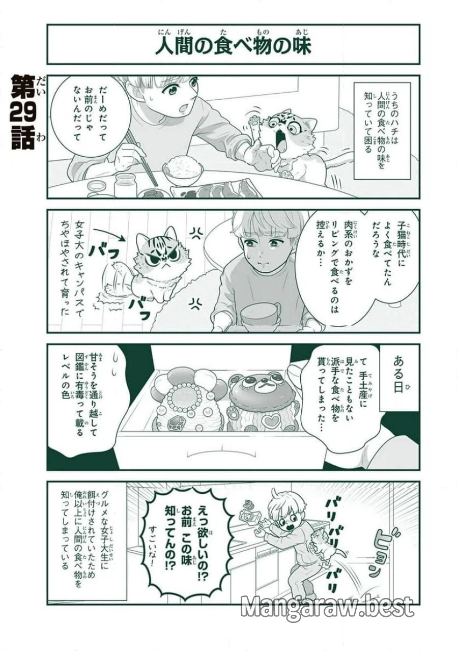 詠人さんはそれでも猫が好き 第29話 - Page 1