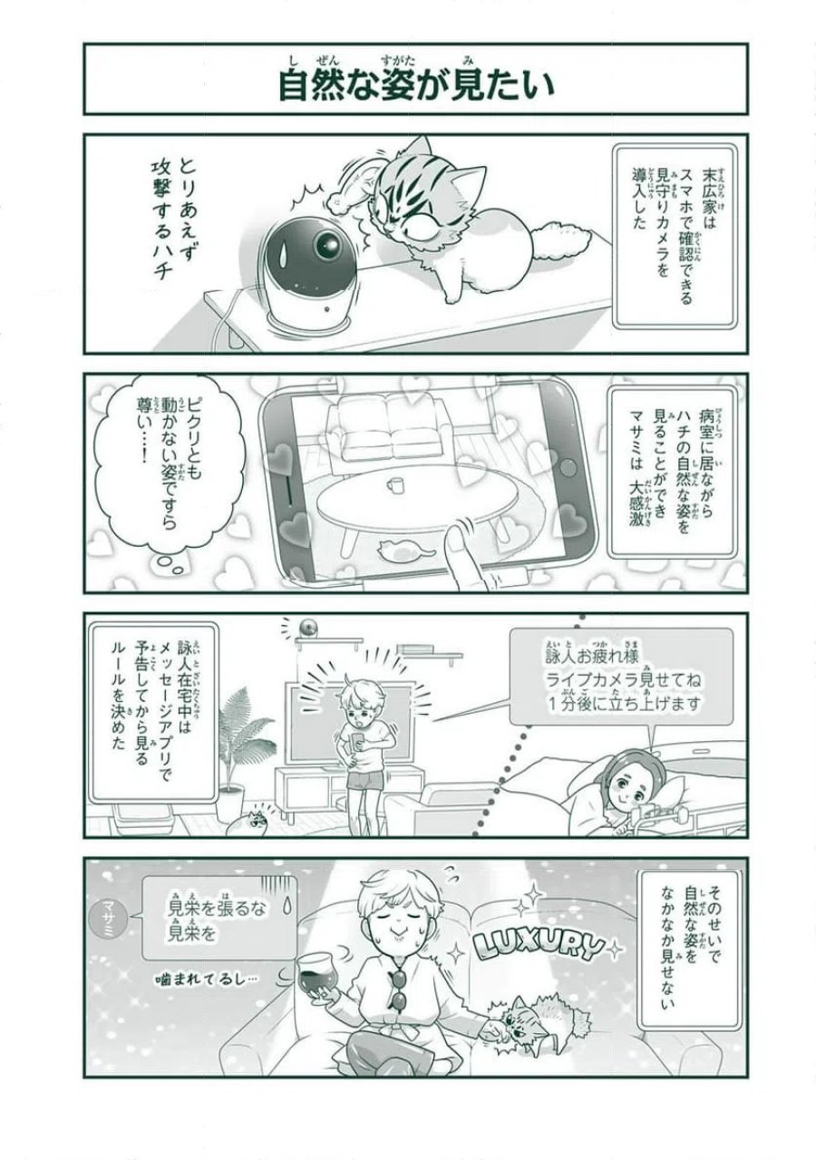 詠人さんはそれでも猫が好き 第27話 - Page 3