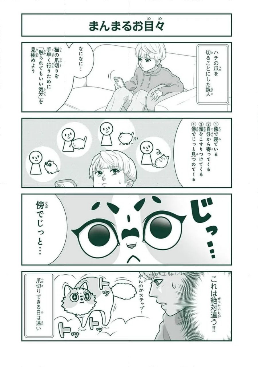 詠人さんはそれでも猫が好き 第30話 - Page 2