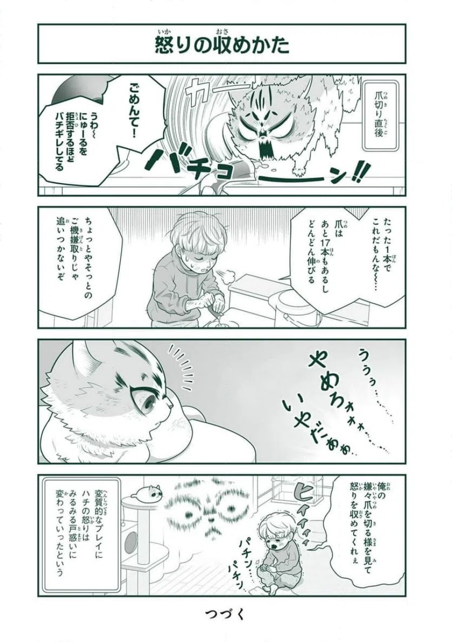 詠人さんはそれでも猫が好き 第30話 - Page 4