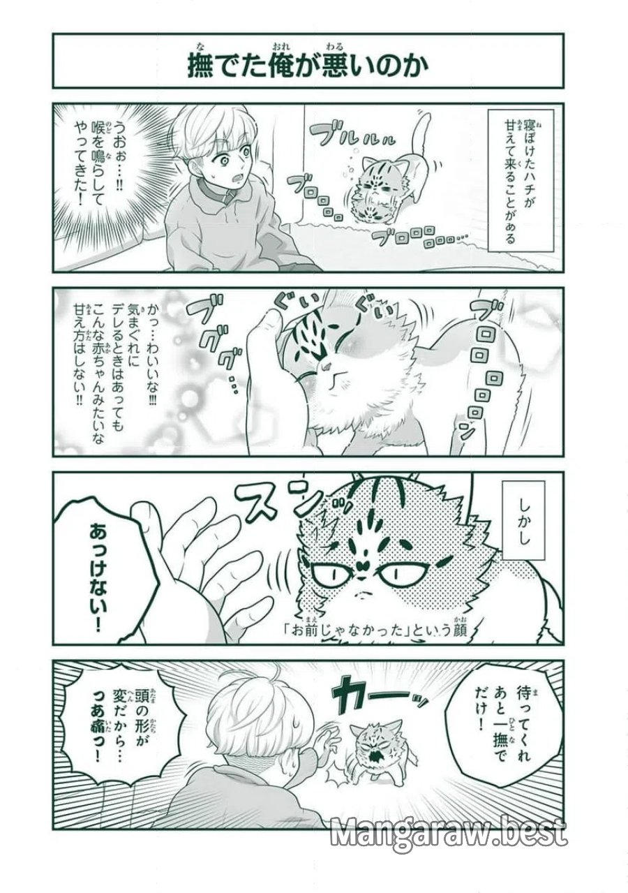詠人さんはそれでも猫が好き 第21話 - Page 2