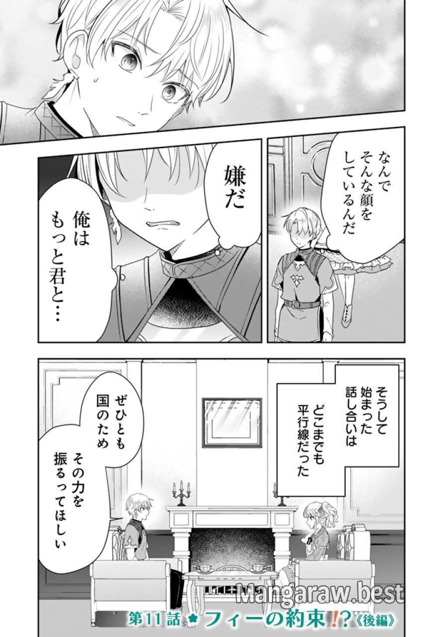 転生聖女は引きこもりスローライフを目指したい！ ～規格外の魔力？ 伝説の聖女の再来！？ 人違いなので放っておいて下さい！～ 第11.2話 - Page 1