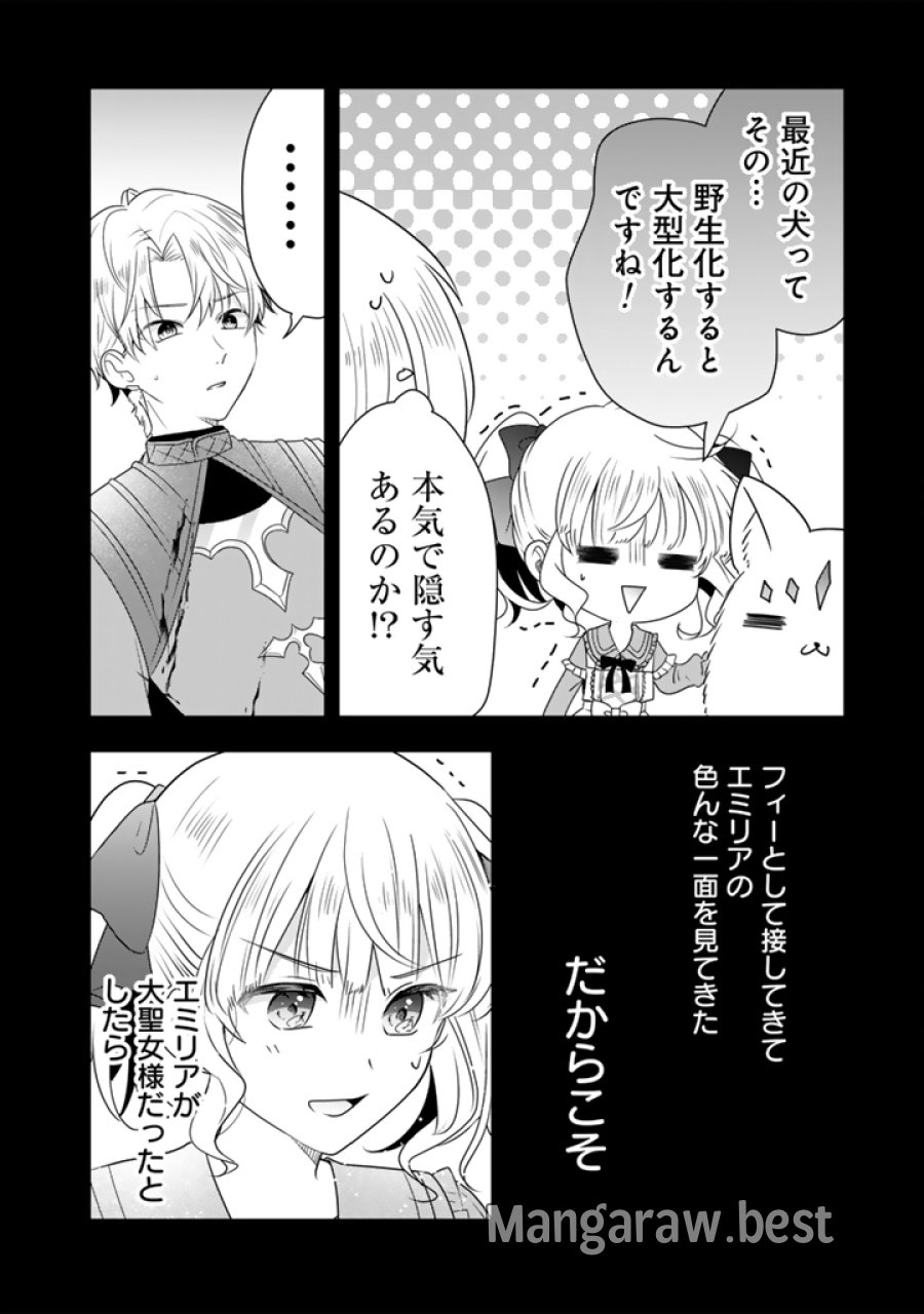 転生聖女は引きこもりスローライフを目指したい！ ～規格外の魔力？ 伝説の聖女の再来！？ 人違いなので放っておいて下さい！～ 第11.1話 - Page 10