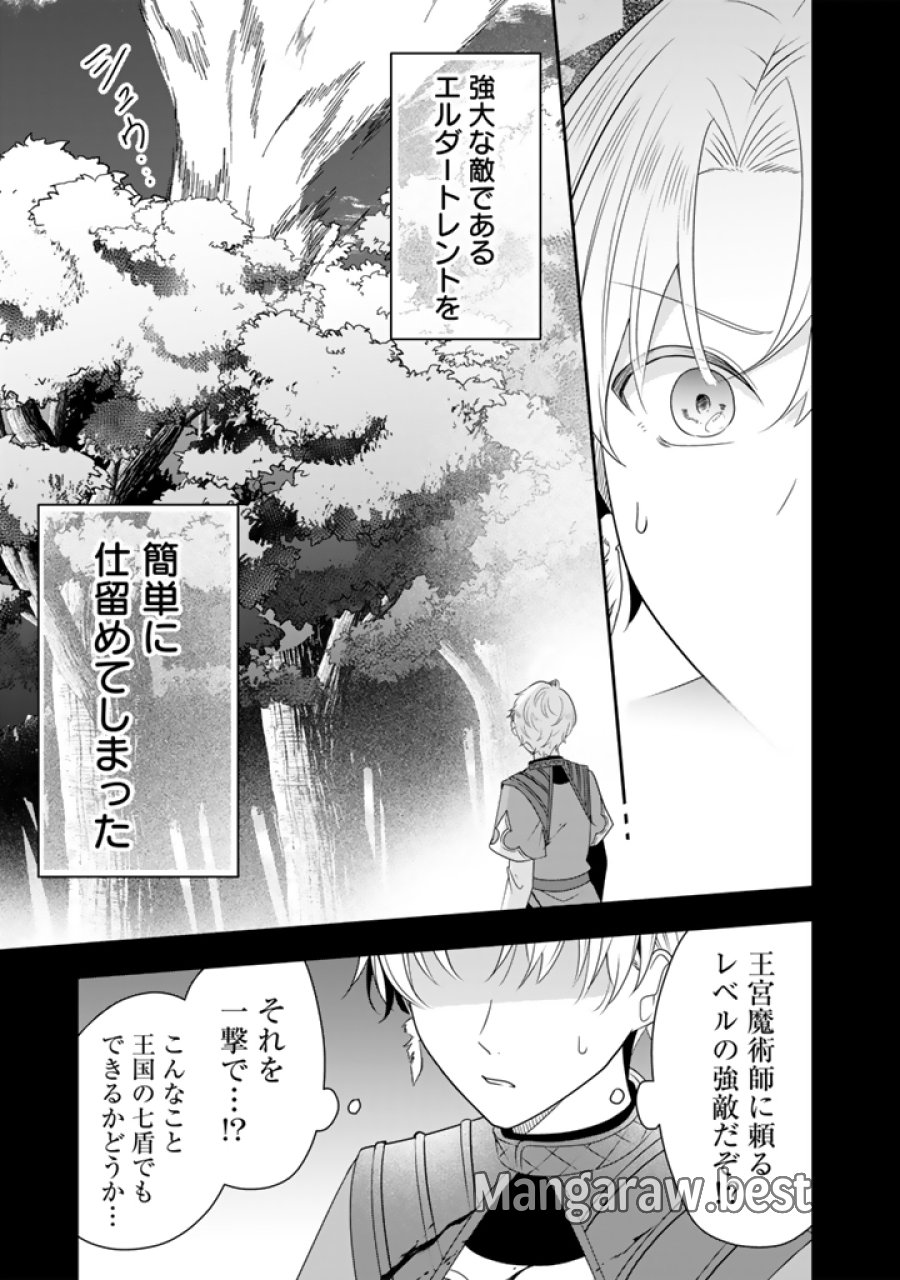 転生聖女は引きこもりスローライフを目指したい！ ～規格外の魔力？ 伝説の聖女の再来！？ 人違いなので放っておいて下さい！～ 第11.1話 - Page 7