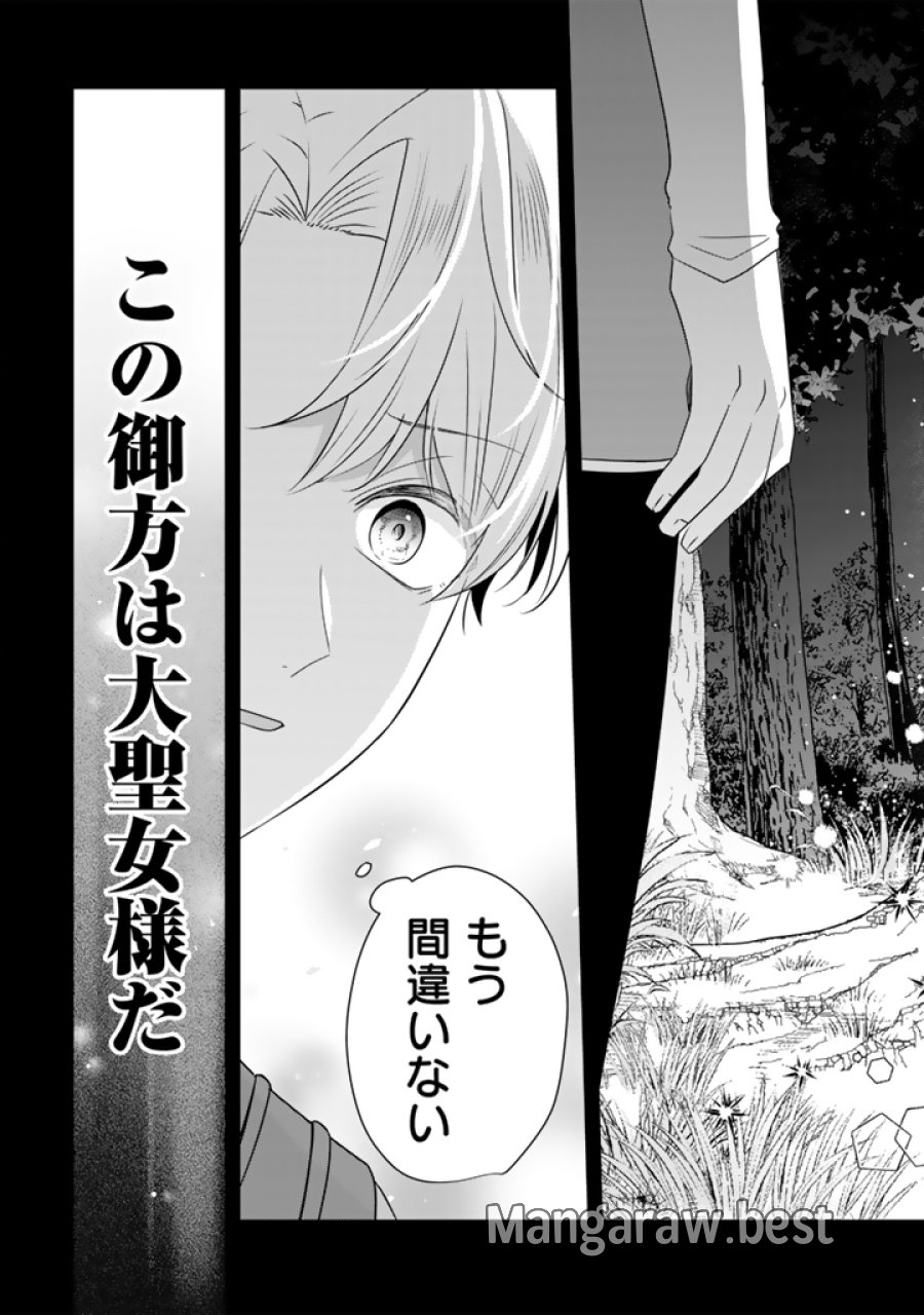 転生聖女は引きこもりスローライフを目指したい！ ～規格外の魔力？ 伝説の聖女の再来！？ 人違いなので放っておいて下さい！～ 第11.1話 - Page 9