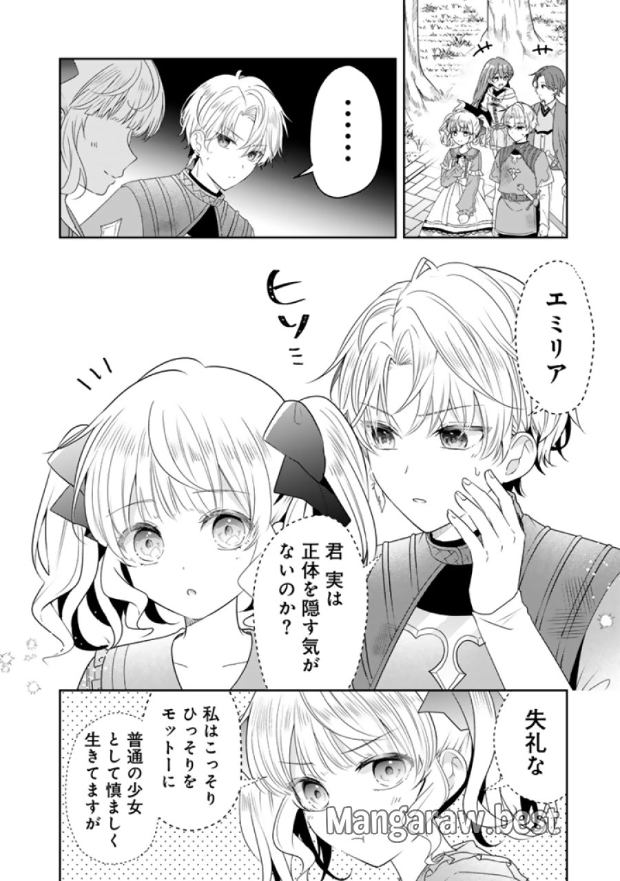 転生聖女は引きこもりスローライフを目指したい！ ～規格外の魔力？ 伝説の聖女の再来！？ 人違いなので放っておいて下さい！～ 第12.2話 - Page 8