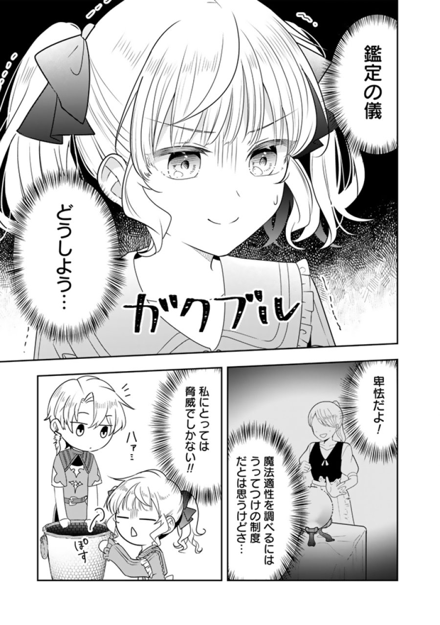 転生聖女は引きこもりスローライフを目指したい！ ～規格外の魔力？ 伝説の聖女の再来！？ 人違いなので放っておいて下さい！～ 第13.1話 - Page 3