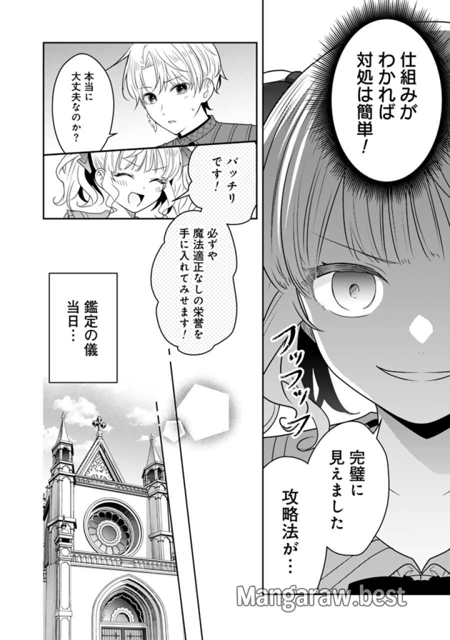 転生聖女は引きこもりスローライフを目指したい！ ～規格外の魔力？ 伝説の聖女の再来！？ 人違いなので放っておいて下さい！～ 第13.1話 - Page 8