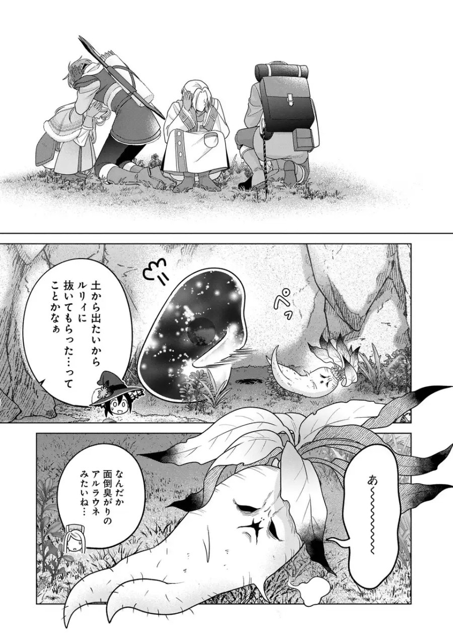 家政魔導士の異世界生活～冒険中の家政婦業承ります！～ 第63.2話 - Page 13