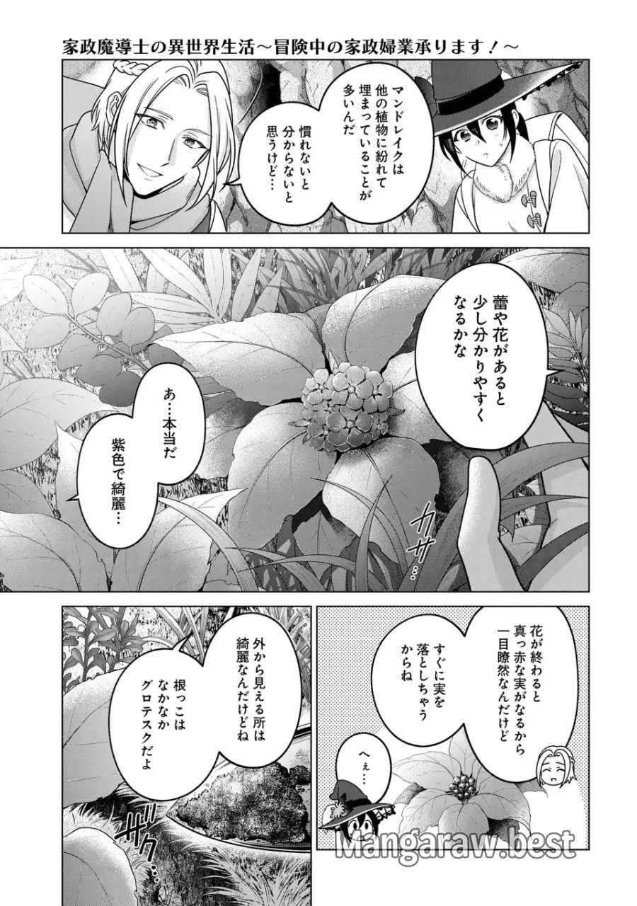 家政魔導士の異世界生活～冒険中の家政婦業承ります！～ 第63.2話 - Page 3