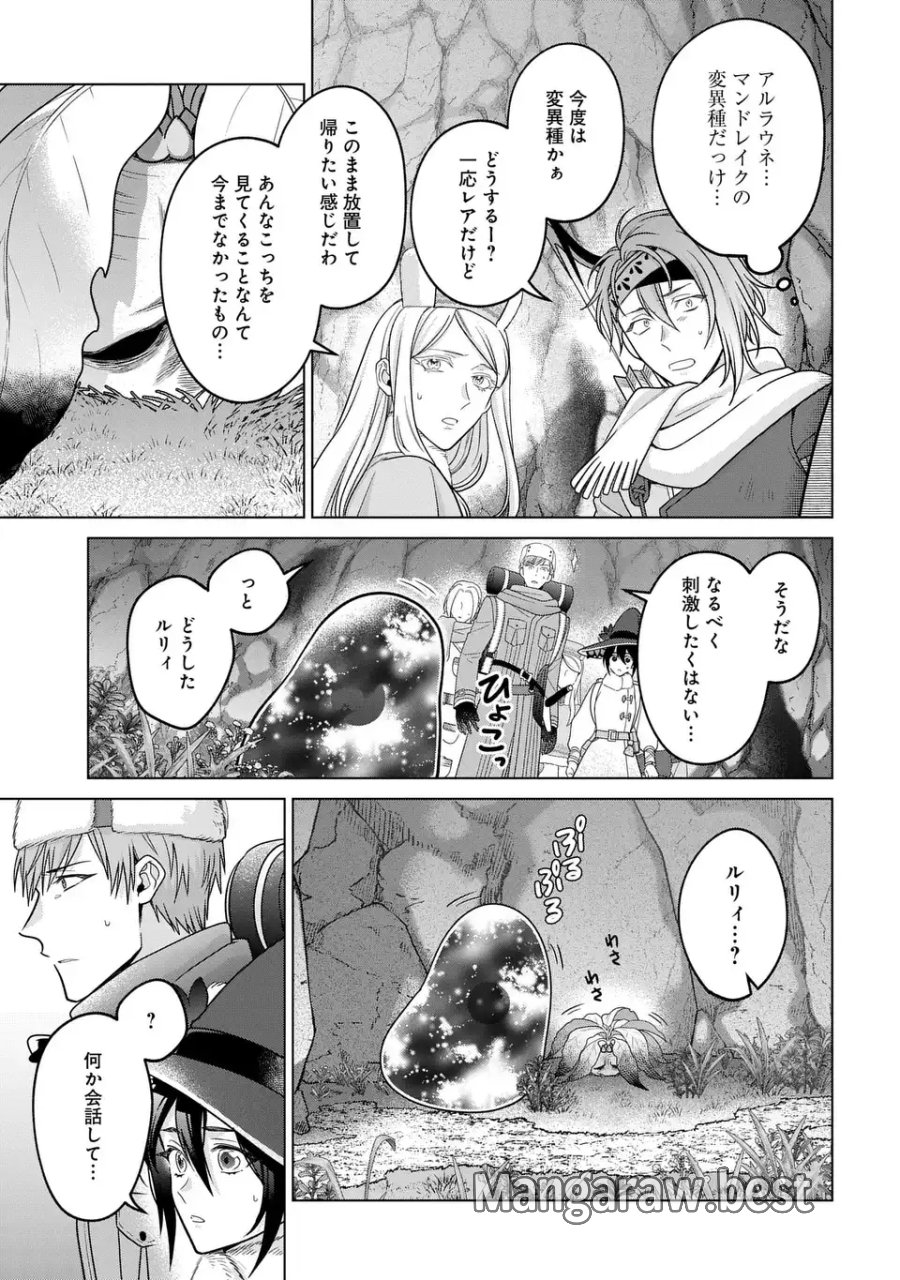 家政魔導士の異世界生活～冒険中の家政婦業承ります！～ 第63.2話 - Page 9