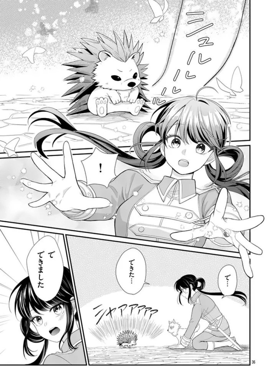 救世の騎士姫 ファラン 第6.2話 - Page 9