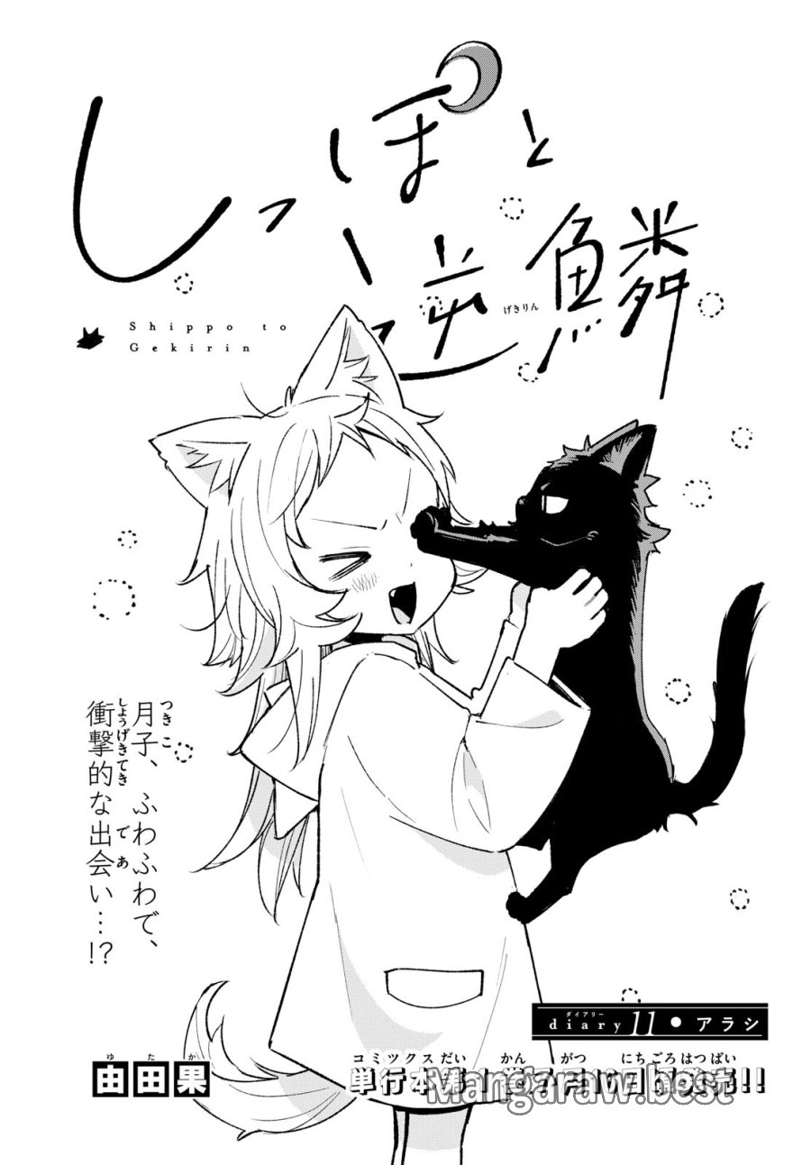 しっぽと逆鱗 第11話 - Page 1
