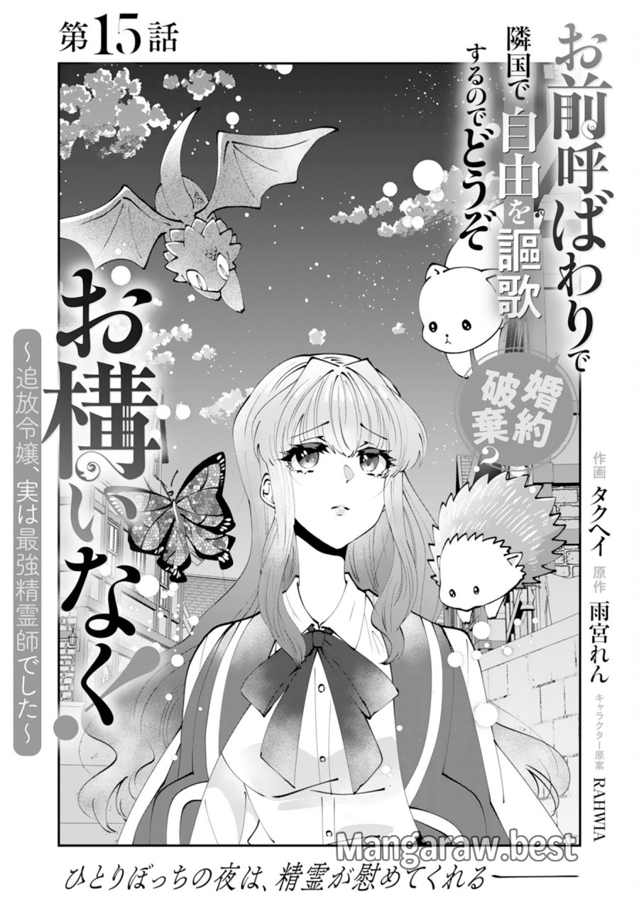 お前呼ばわりで婚約破棄？隣国で自由を謳歌するのでどうぞお構いなく！～追放令嬢、実は最強精霊師でした～ 第15話 - Page 1