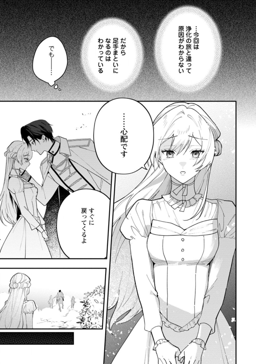 冴えない加護持ち令嬢、孤高の王子様に見初められる～美貌の妹に言いなりの家族を捨てたら、真の能力が開花しました～ 第12.2話 - Page 6
