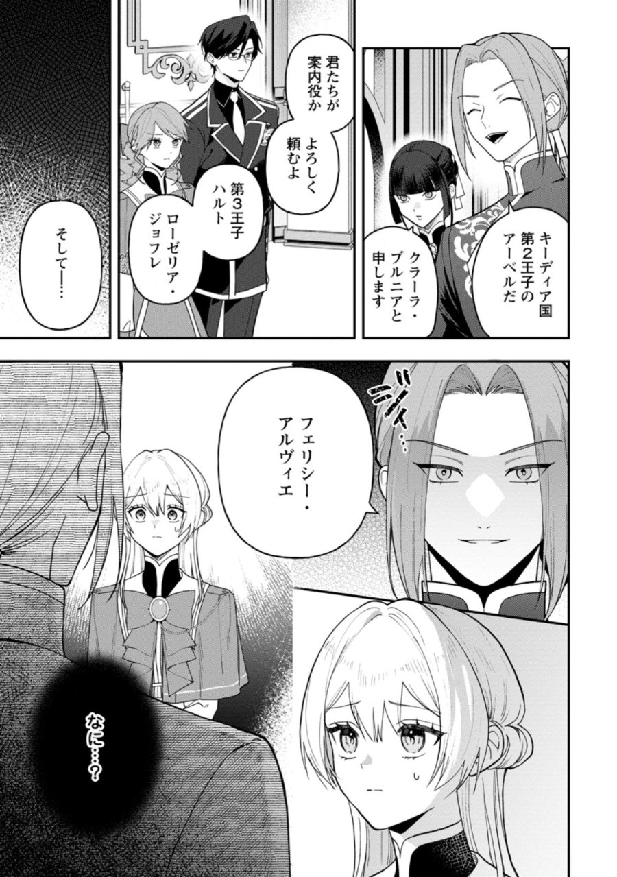 冴えない加護持ち令嬢、孤高の王子様に見初められる～美貌の妹に言いなりの家族を捨てたら、真の能力が開花しました～ 第11.3話 - Page 12