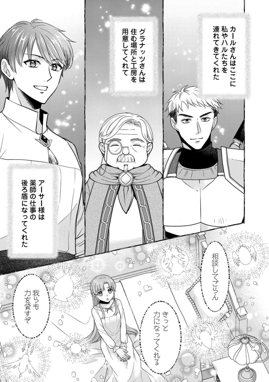 地味薬師令嬢はもう契約更新いたしません。 ～ざまぁ? 没落? 私には関係ないことです～ 第12話 - Trang 21