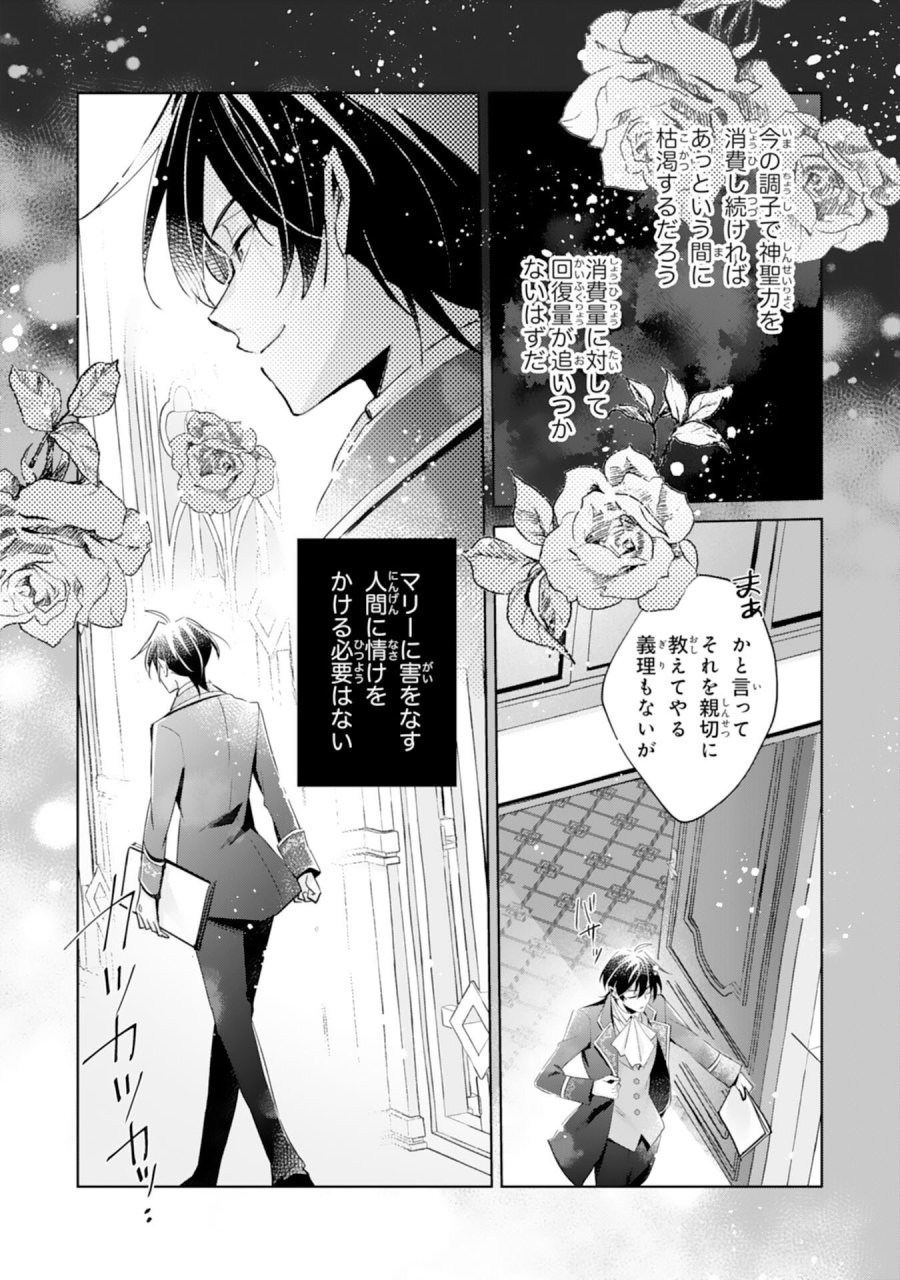 どうも、噂の悪女でございます　聖女の力は差し上げるので、私はお暇頂戴します 第5話 - Page 26